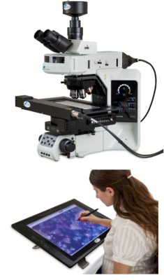 BioView掃描系統(tǒng).png BioView掃描系統(tǒng).png