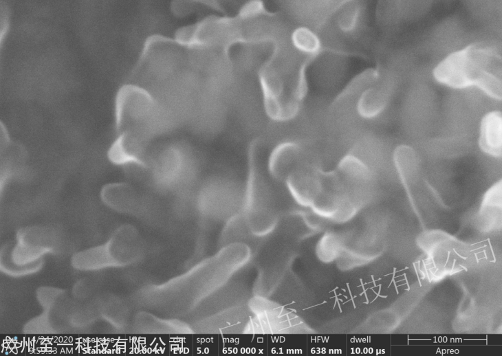Spreo S SEM成像圖02.png Spreo S SEM成像圖02.png