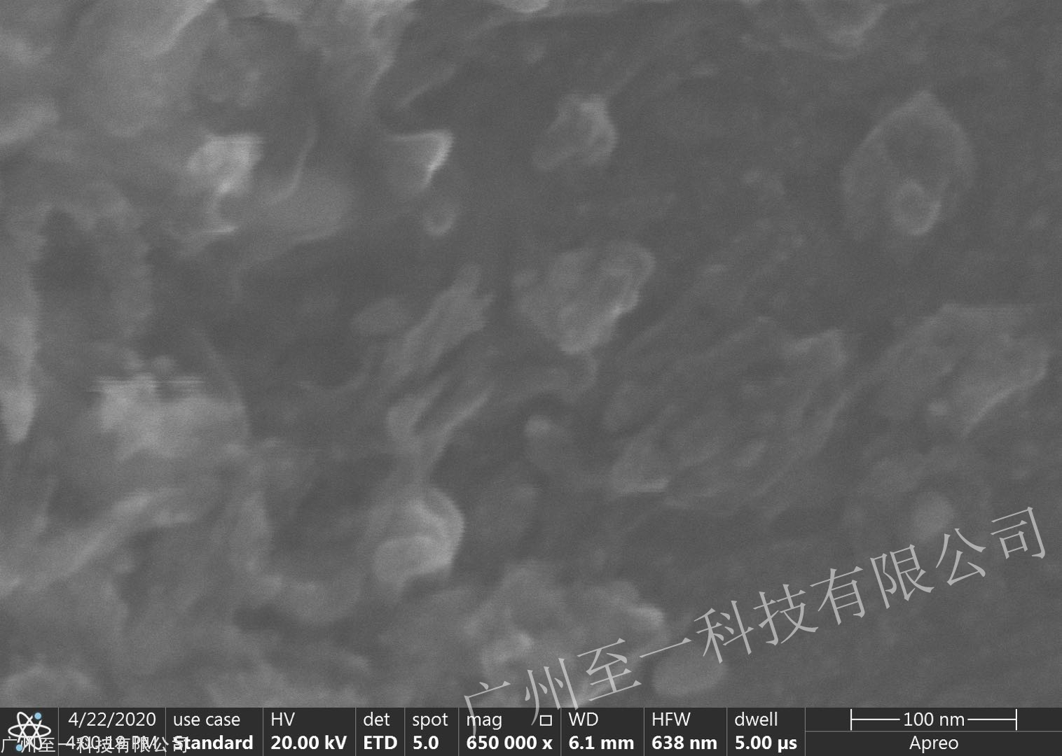 Spreo S SEM成像圖01.jpg Spreo S SEM成像圖01.jpg